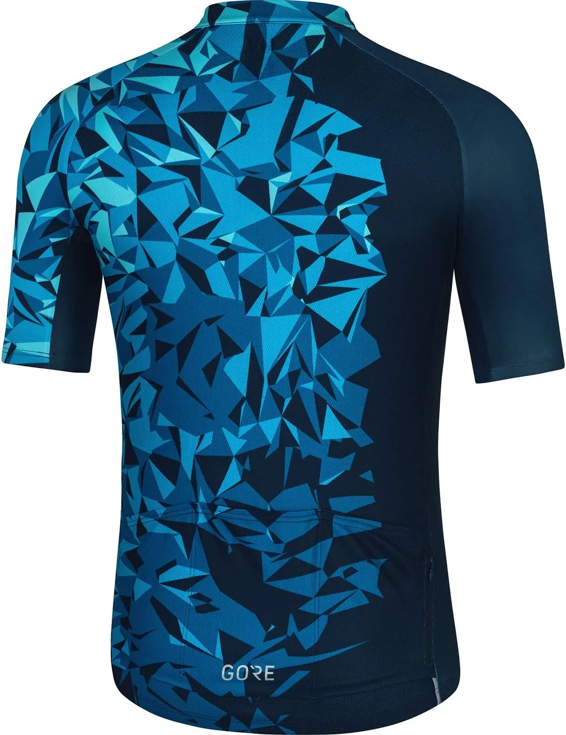 GORE WEAR Men's Polix Jersey