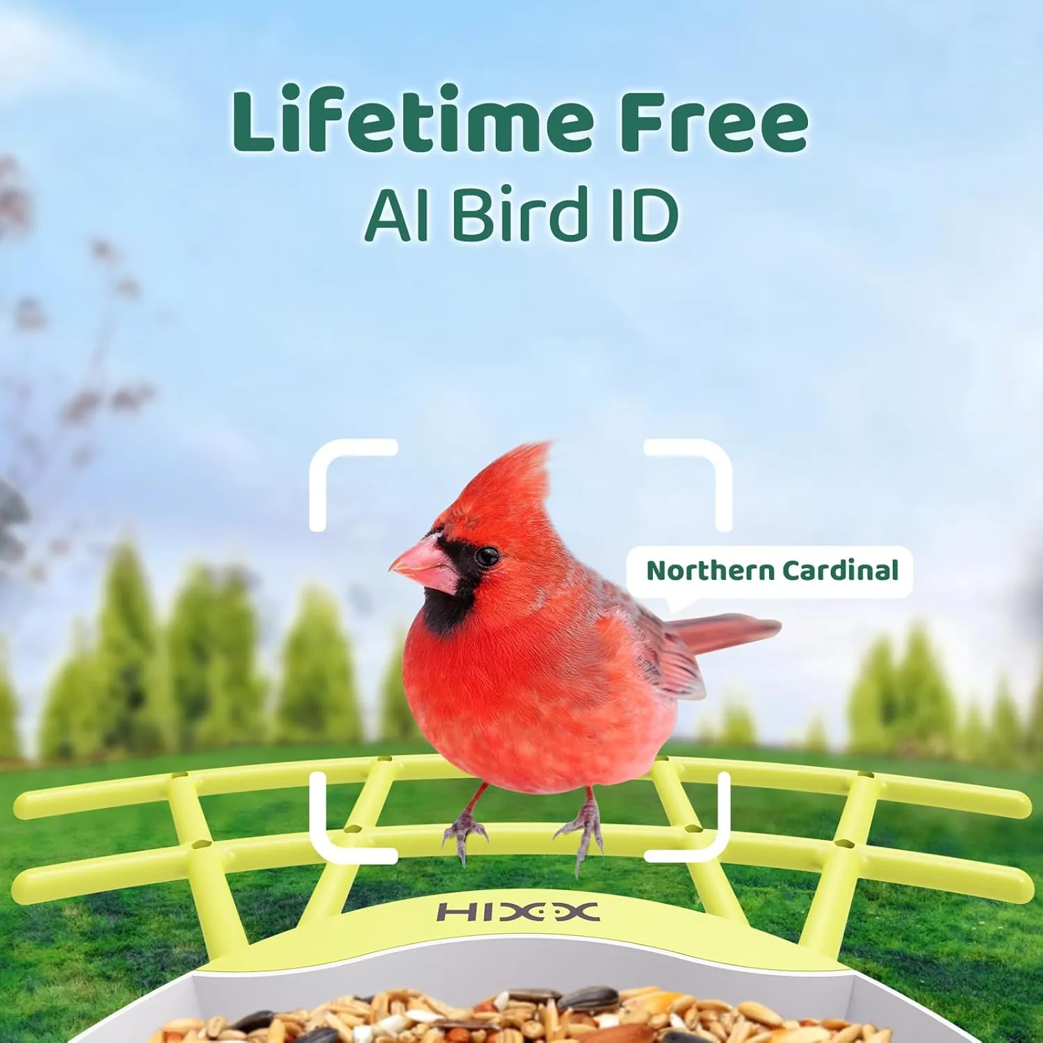 HIXX Smart Bird Feeder with Camera, Lifetime Free AI Identify Birds, Solar-Powered 2K HD Live Camera Video Birds Feeder for Outdoors with Color Night Vision for Bird Lovers Gifts (Spring Green)