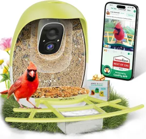 HIXX Smart Bird Feeder with Camera, Lifetime Free AI Identify Birds, Solar-Powered 2K HD Live Camera Video Birds Feeder for Outdoors with Color Night Vision for Bird Lovers Gifts (Spring Green)