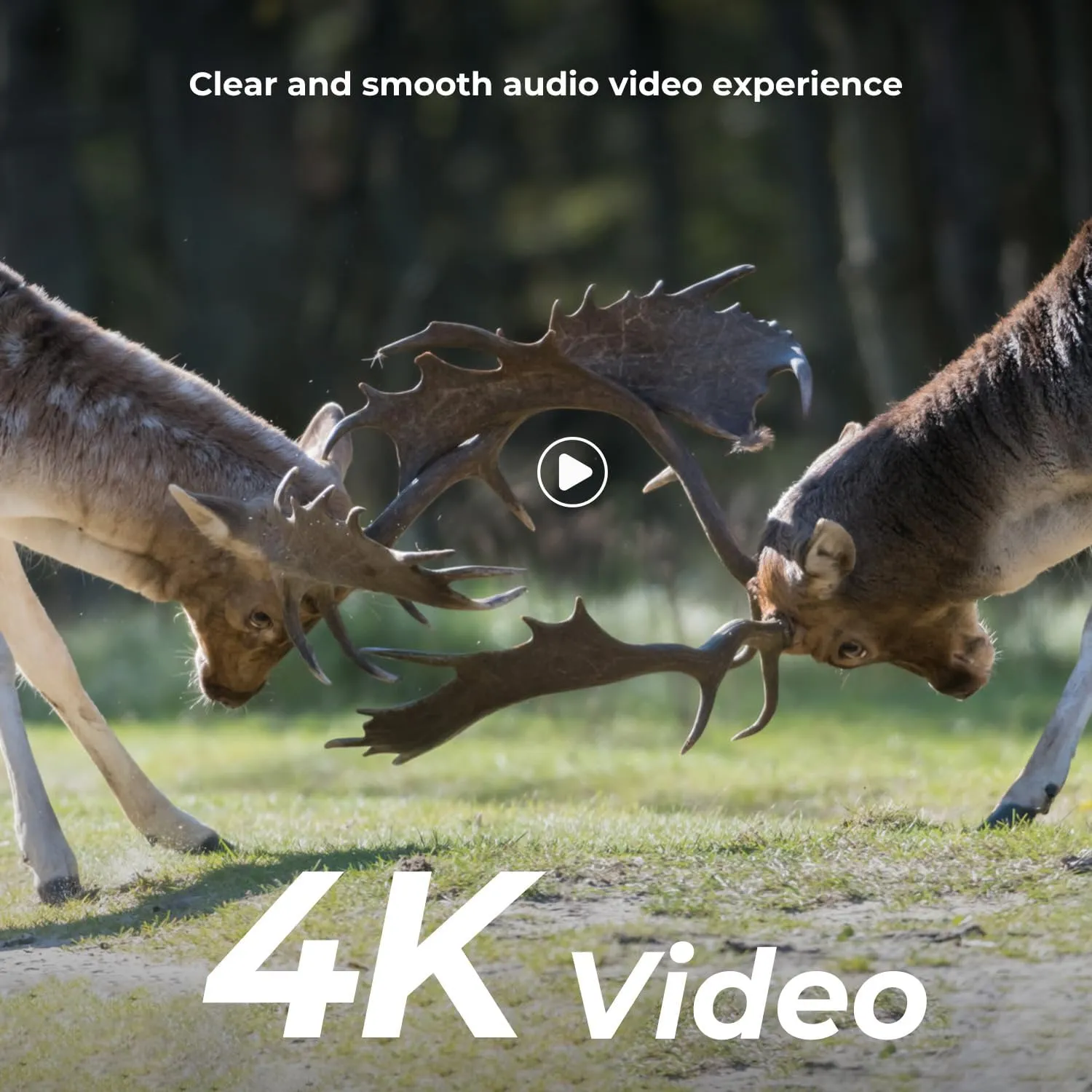 K&F Concept 4K 48MP Trail Camera, Game Camera with No Glow Night Vision, 0.1s Trigger Time, 120° Wide Lens, IP66 Waterproof with 2.4'' LCD for Wildlife Monitoring, 64GB SD Card & Batteries