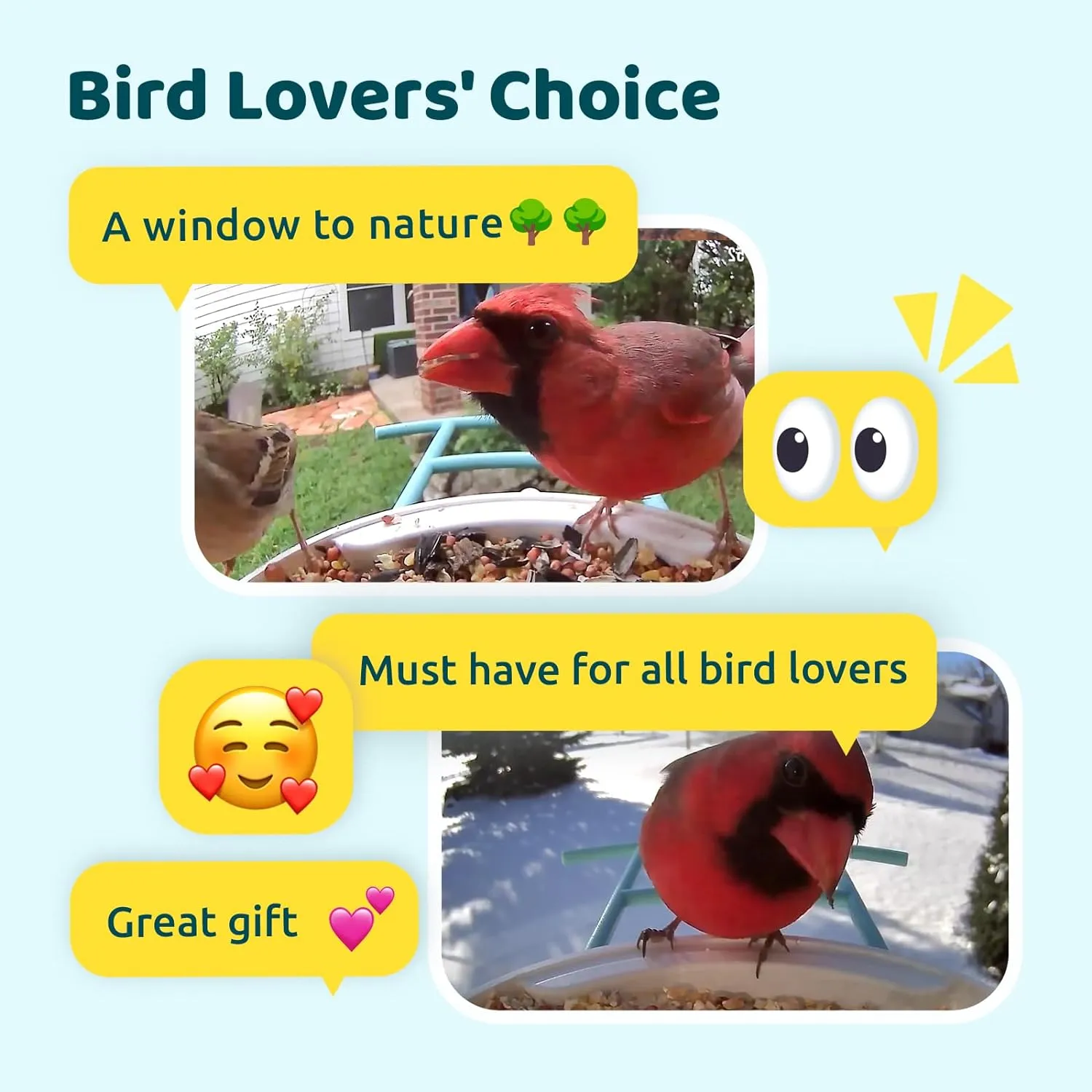 NETVUE Birdfy® AI Smart Bird Feeder with Camera, Lifetime AI Auto Capture Each Bird Come & Identify 6000  Bird Species, Cloud Storage Bird Videos & Birdwatching On Live, Ideal Present (Yellow)