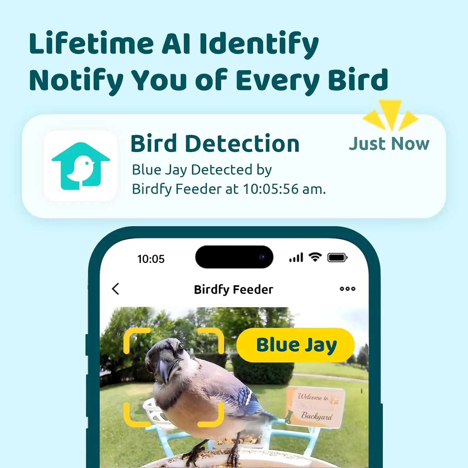 NETVUE Birdfy® AI Smart Bird Feeder with Camera, Lifetime AI Auto Capture Each Bird Come & Identify 6000  Bird Species, Cloud Storage Bird Videos & Birdwatching On Live, Ideal Present (Yellow)