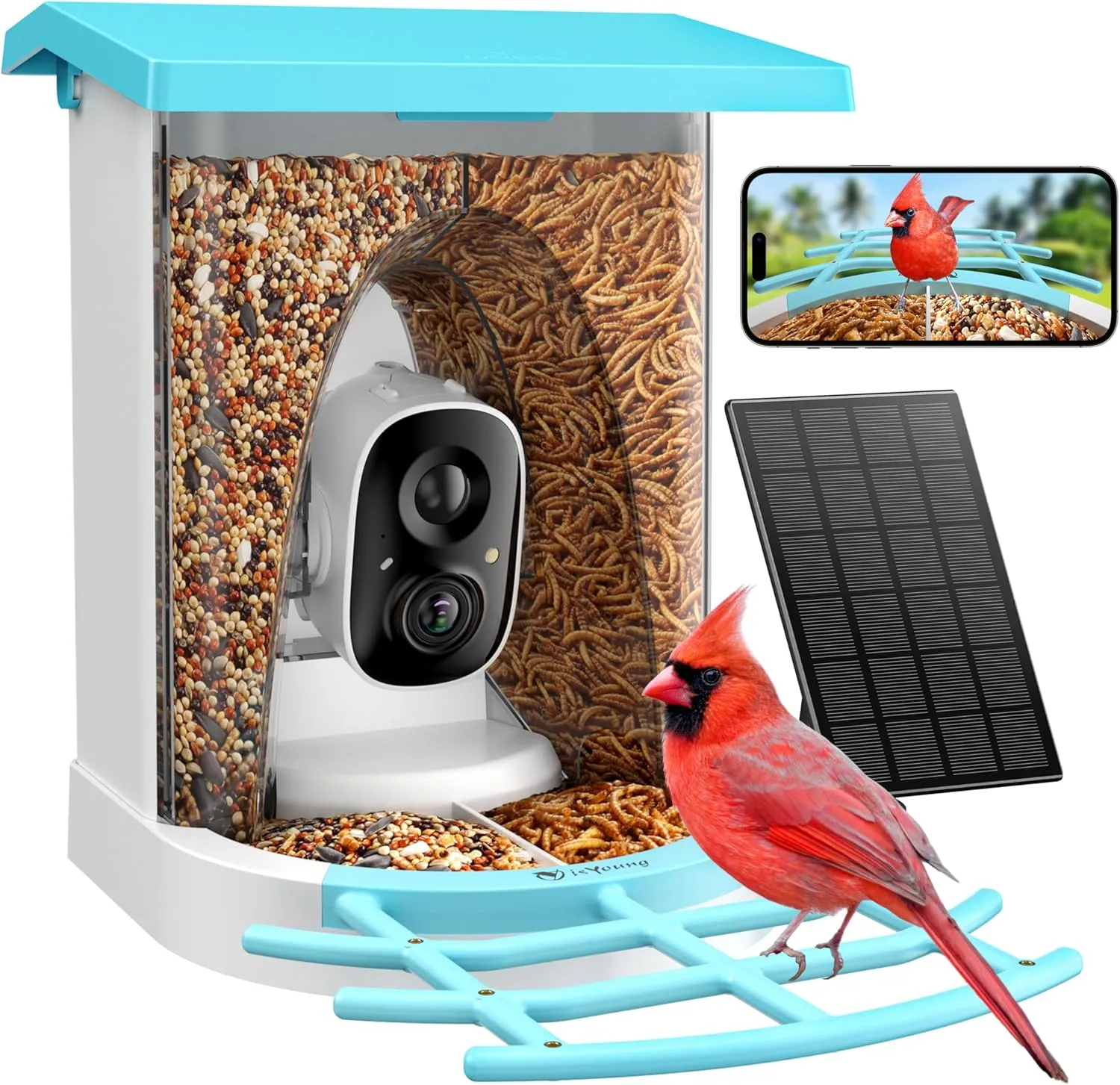 Smart Bird Feeder with Camera, 2K HD, Dual Granary, AI Identify 16,000  Birds, Auto-Capture, Motion Detection, 5W Solar, 170° Wide View, Ideal Gift for Birds Lovers, Outdoor Bird Watching.