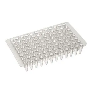 SP-0076 Natural Polypropylene PCR Strip Caps, 8 Strips, Domed, Large End Tabs (Pack of 300)