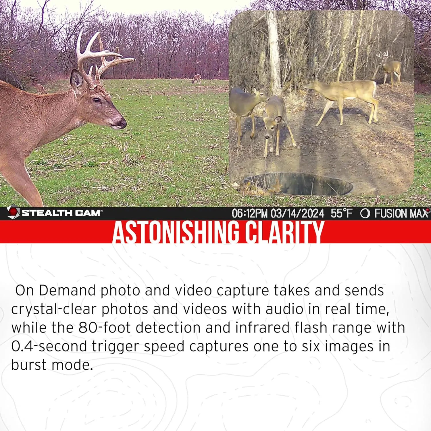 Stealth Cam 36MP Fusion Max Cellular Trail Camera (2-Pack) Bundle with Solar Power Pack (2-Pack), Trail Camera Mount Stick (2-Pack), 32GB Memory Card (2-Pack), and USB 2.0 Card Reader (9 Items)